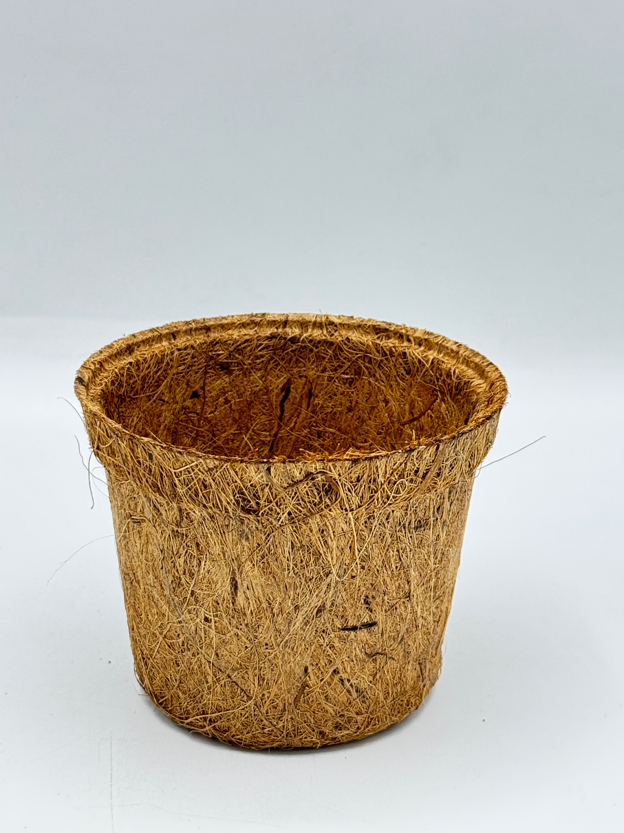 กระถางใยมะพร้าว กระถางต้นไม้ มีหลายขนาด