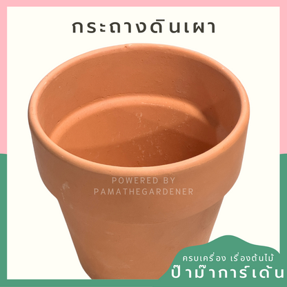 กระถางต้นไม้ กระถางดินเผาทรงมีขอบ มีหลายขนาด เป็นแบบผิวเนียนเรียบ