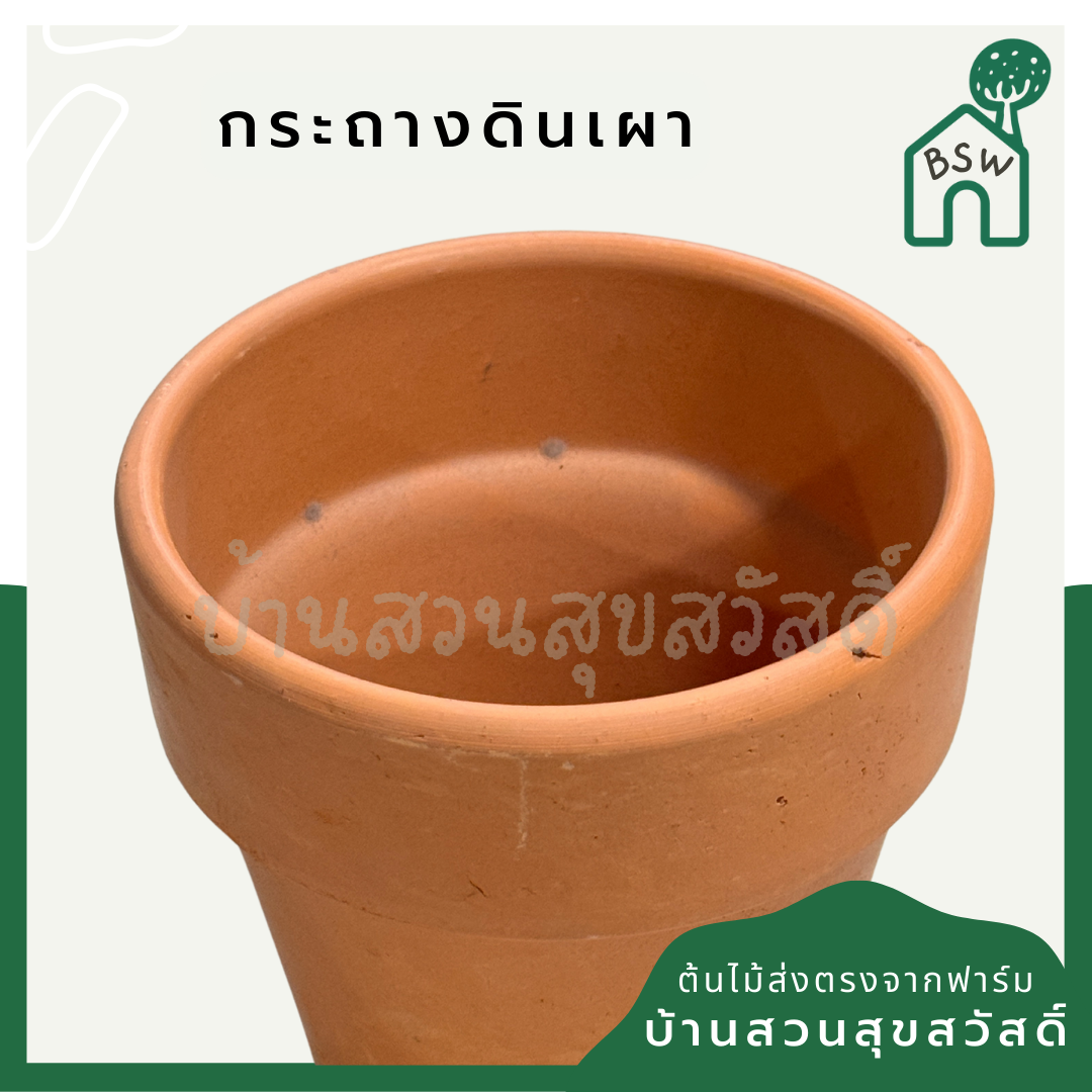 กระถางต้นไม้ กระถางดินเผาทรงมีขอบ มีหลายขนาด เป็นแบบผิวเนียนเรียบ