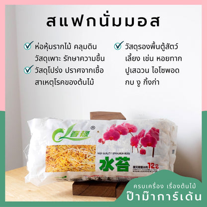 สแฟกนั่มมอส ช่วยกักเก็บความชื้น  ล่อราก (ต้องแช่น้ำก่อนใช้)  [BY SP]
