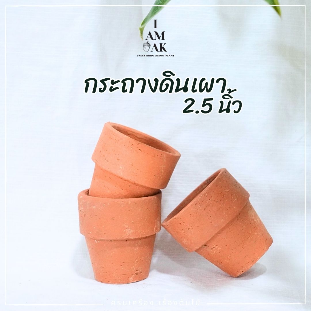 กระถางดินเผา ขนาด 2.5 นิ้ว