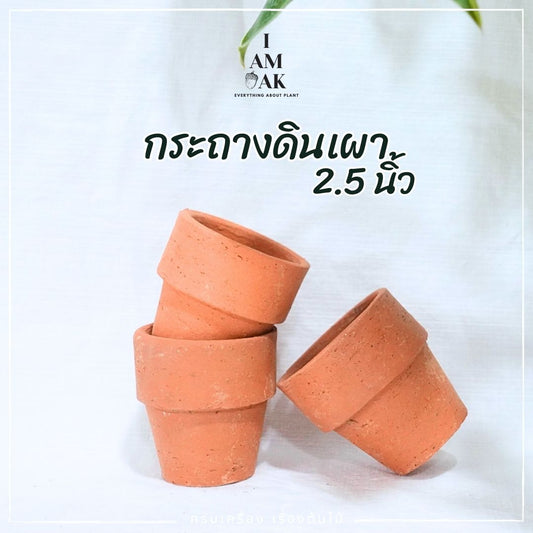 กระถางดินเผา ขนาด 2.5 นิ้ว