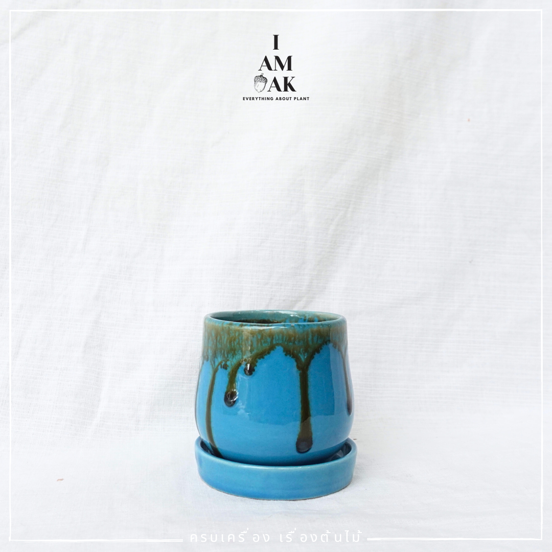 กระถางเซรามิกทรงไข่ตุ๋น เหมาะใส่กับต้นไม้จากกระถาง 3 นิ้ว