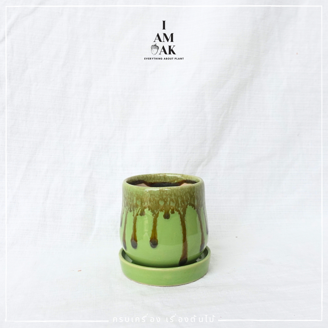 กระถางเซรามิกทรงไข่ตุ๋น เหมาะใส่กับต้นไม้จากกระถาง 3 นิ้ว