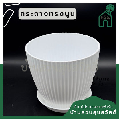 กระถางพลาสติกสีขาว ทรงนูน 4-8 นิ้ว