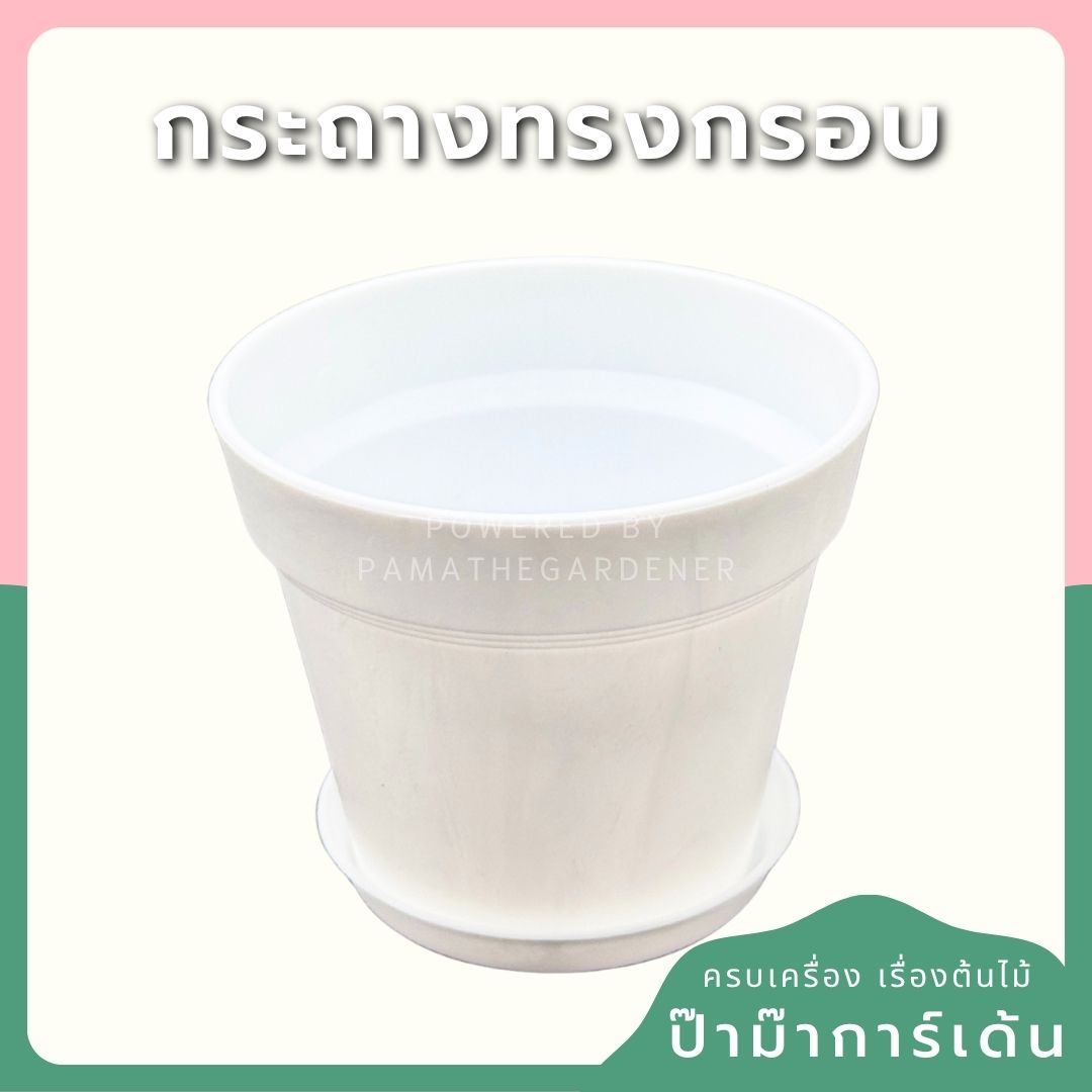 กระถางพลาสติกกระถางขาว ขอบนูน 4 - 8 นิ้ว