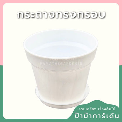 กระถางพลาสติกกระถางขาว ขอบนูน 4 - 8 นิ้ว