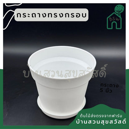 กระถางพลาสติกกระถางขาว ขอบนูน 4 - 8 นิ้ว