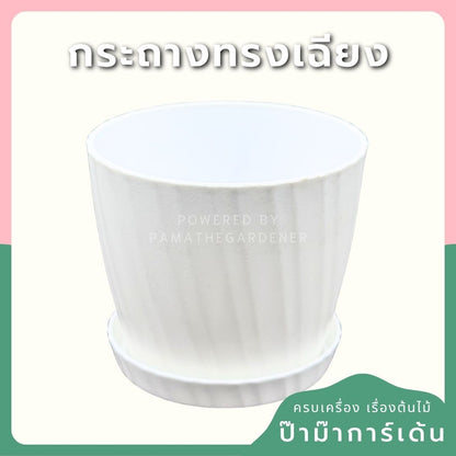 กระถางพลาสติกสีขาว ทรงลายเฉียง 4-8 นิ้ว