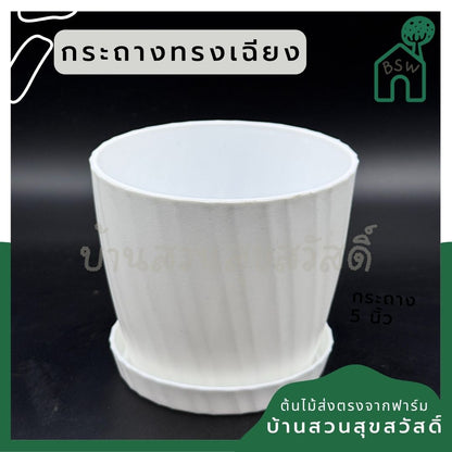 กระถางพลาสติกสีขาว ทรงลายเฉียง 4-8 นิ้ว