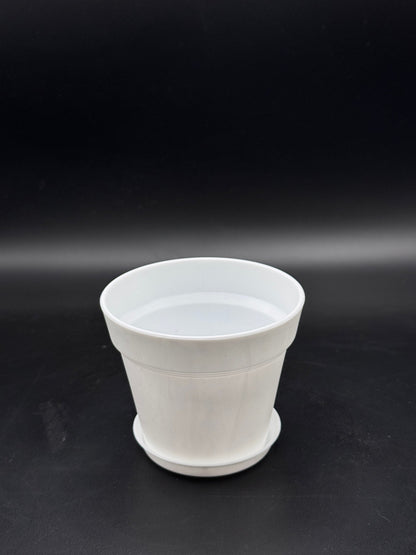 กระถางพลาสติกกระถางขาว ขอบนูน 4 - 8 นิ้ว