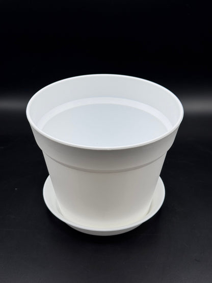 กระถางพลาสติกกระถางขาว ขอบนูน 4 - 8 นิ้ว