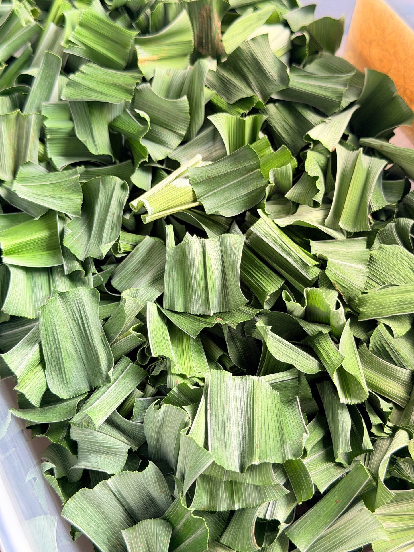 เตยหอมอบแห้ง ชาใบเตยหอมอบแห้ง กลิ่นหอมละมุน คัดพิเศษ เกรด A (Pure Dried Pandan) จากสวนเตยหอมแท้ 100%