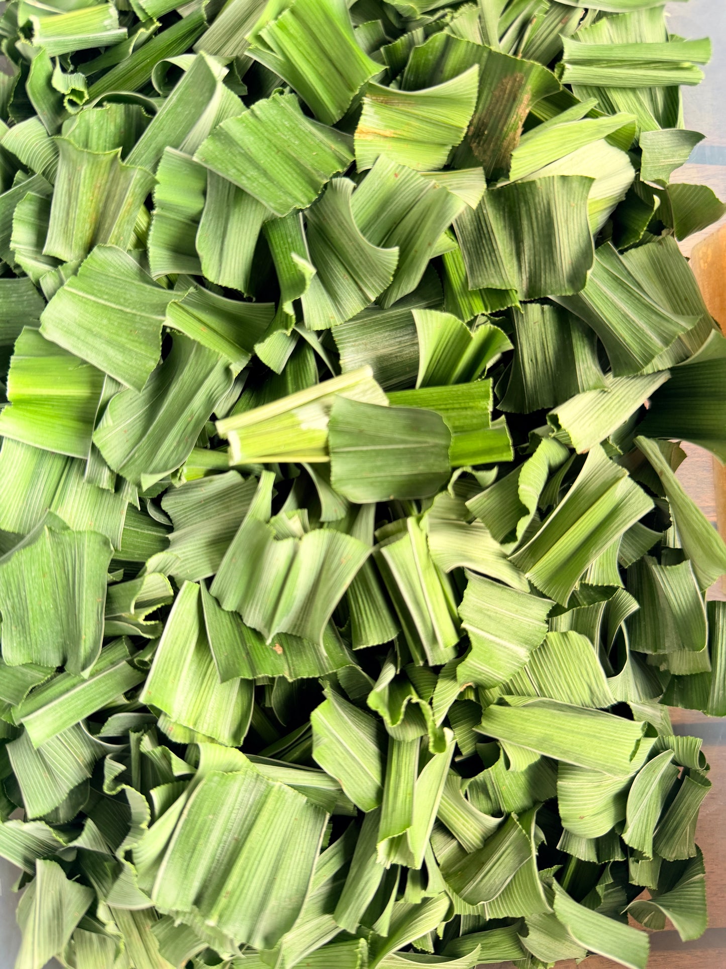 เตยหอมอบแห้ง ชาใบเตยหอมอบแห้ง กลิ่นหอมละมุน คัดพิเศษ เกรด A (Pure Dried Pandan) จากสวนเตยหอมแท้ 100%