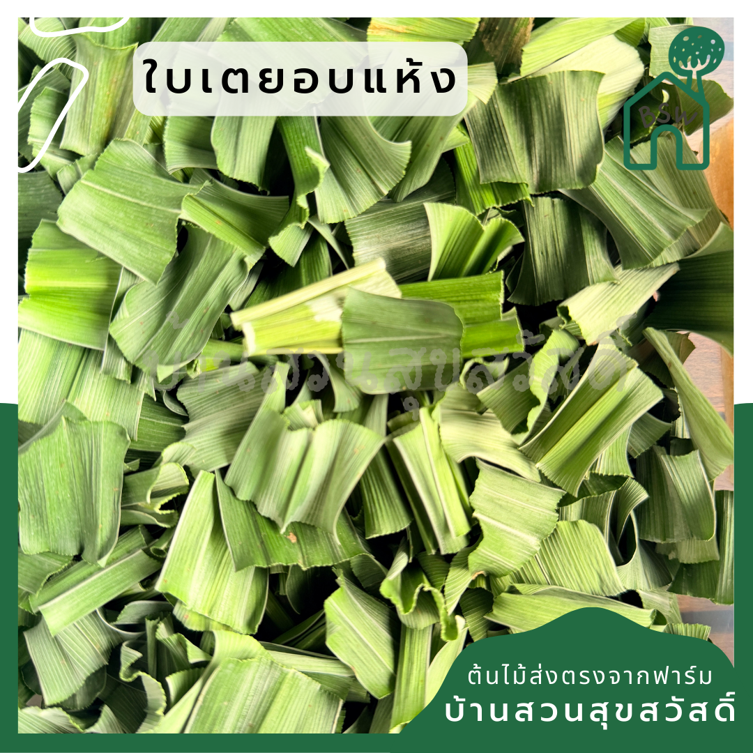 เตยหอมอบแห้ง ชาใบเตยหอมอบแห้ง กลิ่นหอมละมุน คัดพิเศษ เกรด A (Pure Dried Pandan) จากสวนเตยหอมแท้ 100%