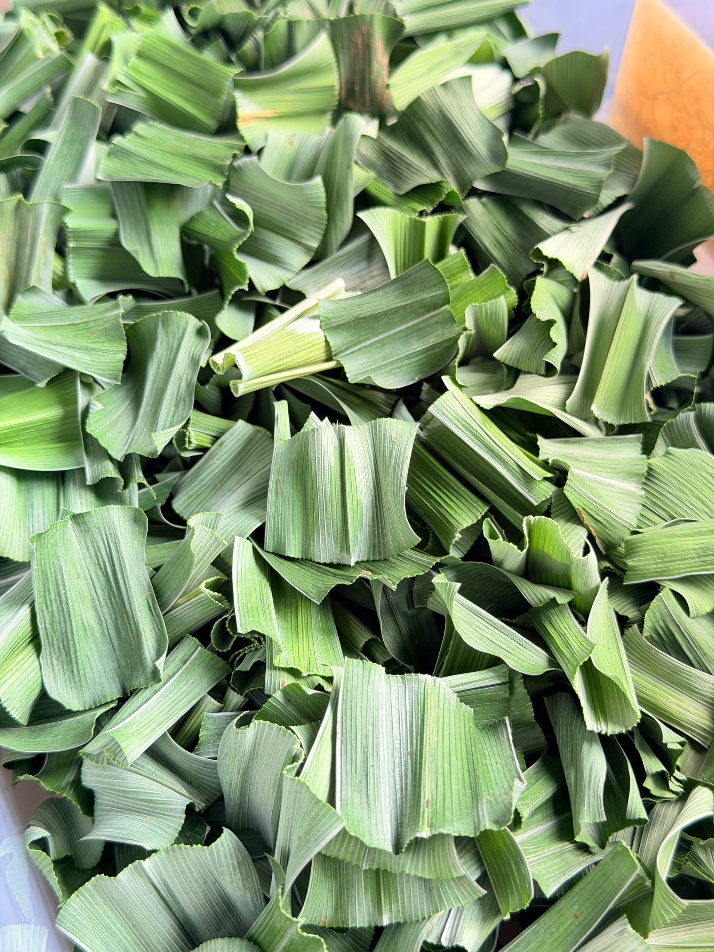 เตยหอมอบแห้ง ชาใบเตยหอมอบแห้ง กลิ่นหอมละมุน คัดพิเศษ เกรด A (Pure Dried Pandan) จากสวนเตยหอมแท้ 100%