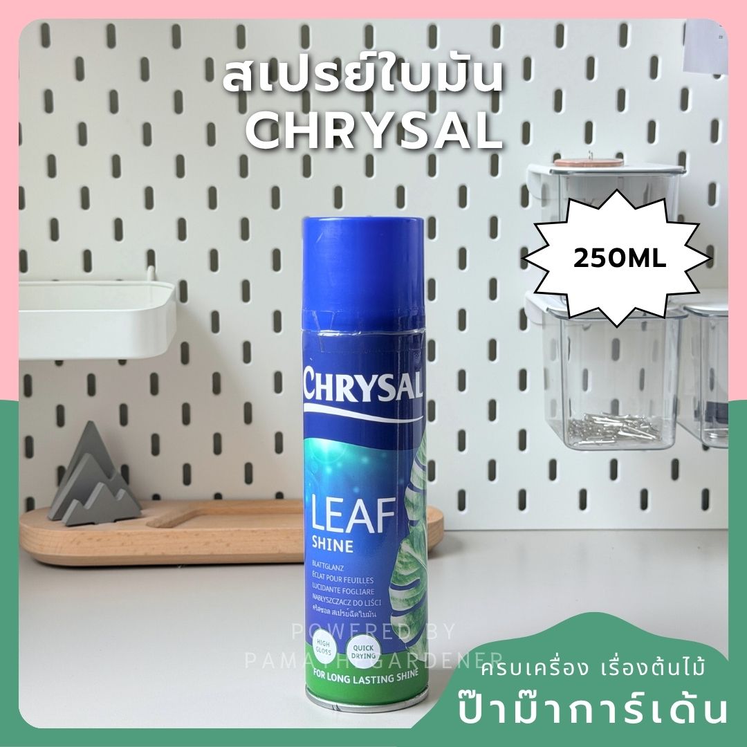 ชื่อสินค้า: สเปรย์ใบมัน 250ml / 750ml - Leaf Shine Spray