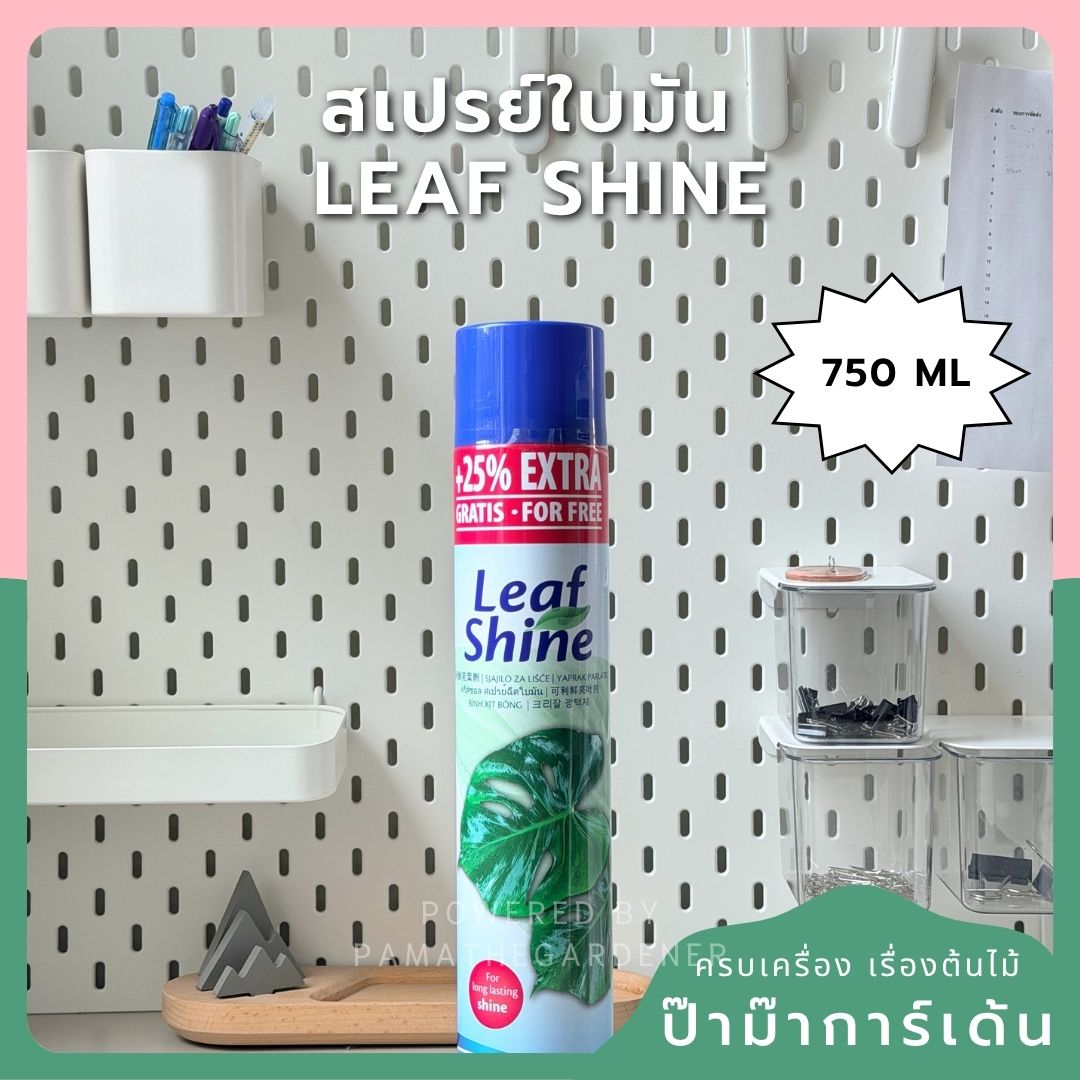 ชื่อสินค้า: สเปรย์ใบมัน 250ml / 750ml - Leaf Shine Spray