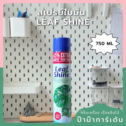 ชื่อสินค้า: สเปรย์ใบมัน 250ml / 750ml - Leaf Shine Spray