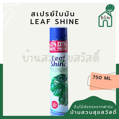 ชื่อสินค้า: สเปรย์ใบมัน 250ml / 750ml - Leaf Shine Spray