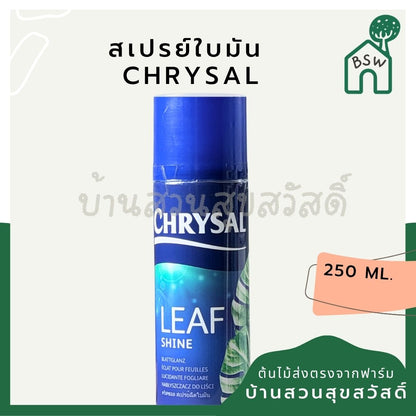 ชื่อสินค้า: สเปรย์ใบมัน 250ml / 750ml - Leaf Shine Spray
