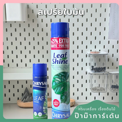 ชื่อสินค้า: สเปรย์ใบมัน 250ml / 750ml - Leaf Shine Spray