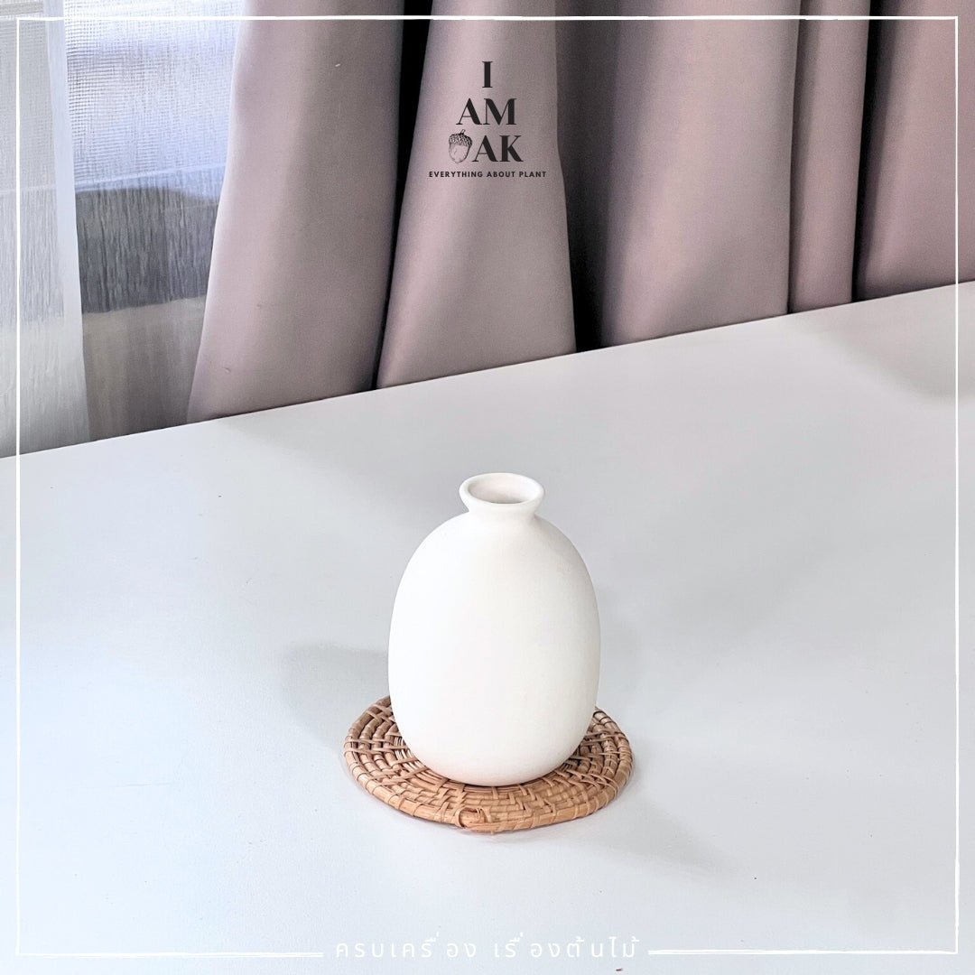 กระถาง แจกัน Minimal Hues Collection (มินิมอล ฮิวส์) - Pamathegardener