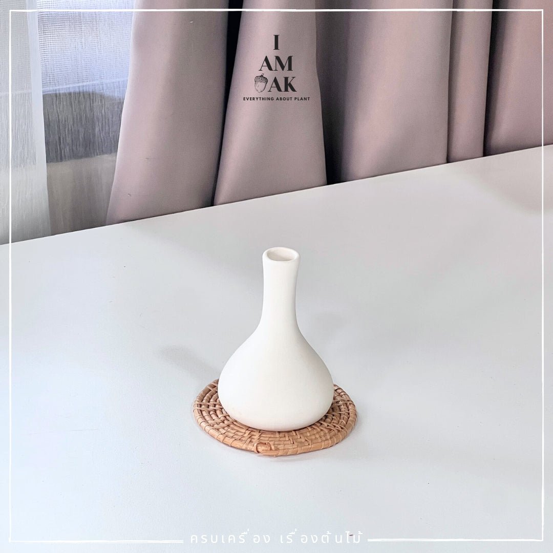 กระถาง แจกัน Minimal Hues Collection (มินิมอล ฮิวส์) - Pamathegardener