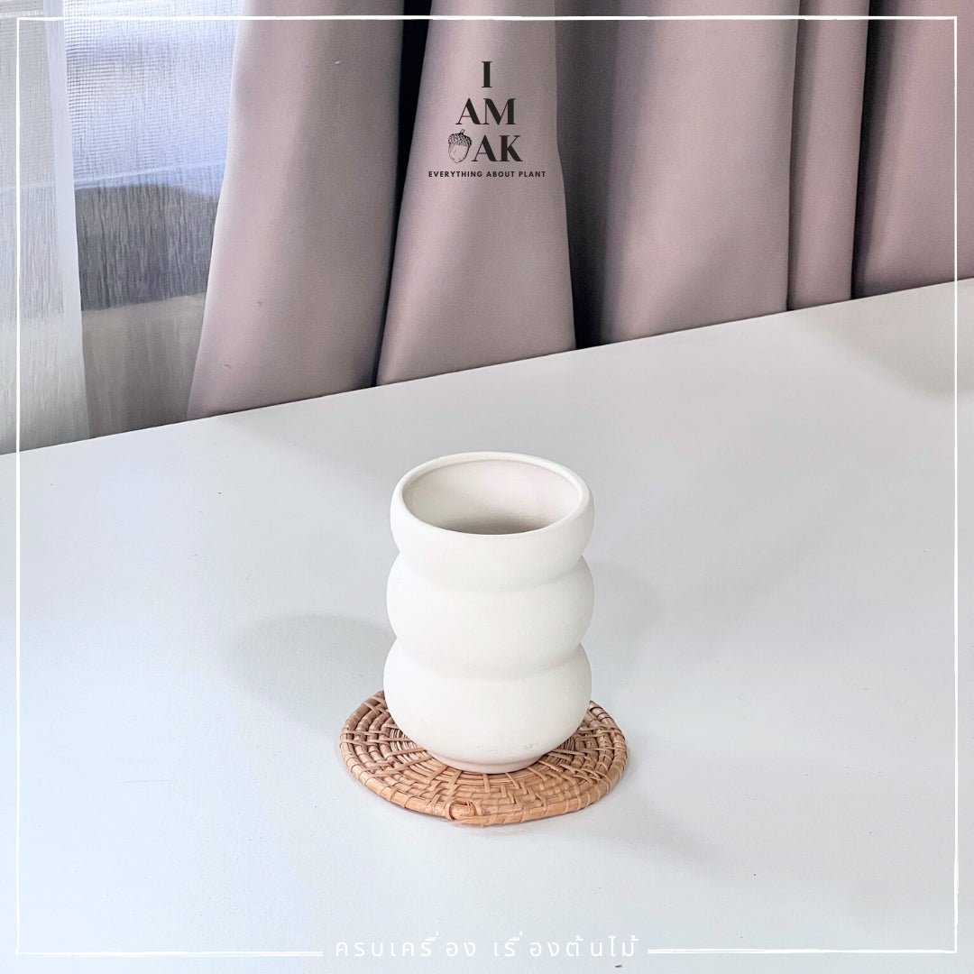 กระถาง แจกัน Minimal Hues Collection (มินิมอล ฮิวส์) - Pamathegardener