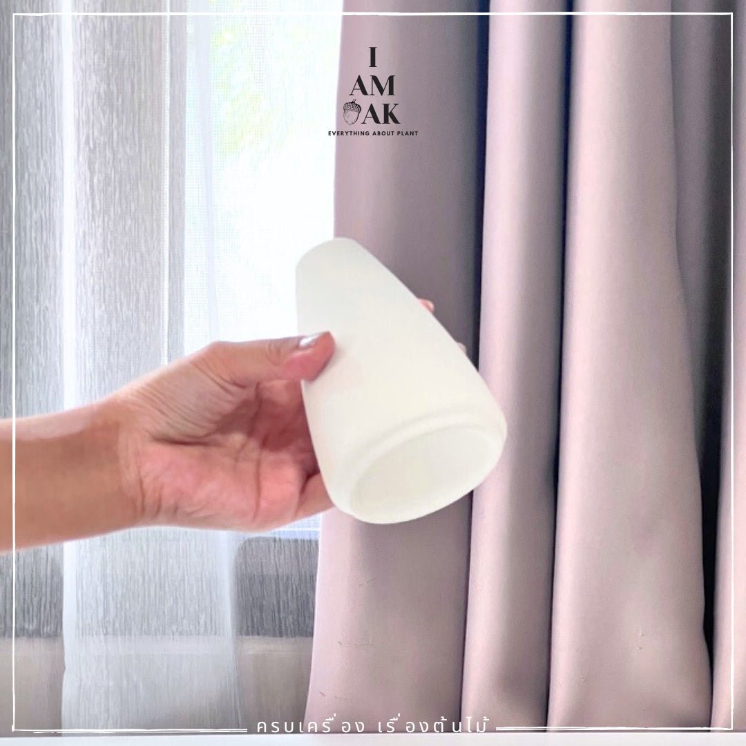 กระถาง แจกัน Minimal Hues Collection (มินิมอล ฮิวส์) - Pamathegardener