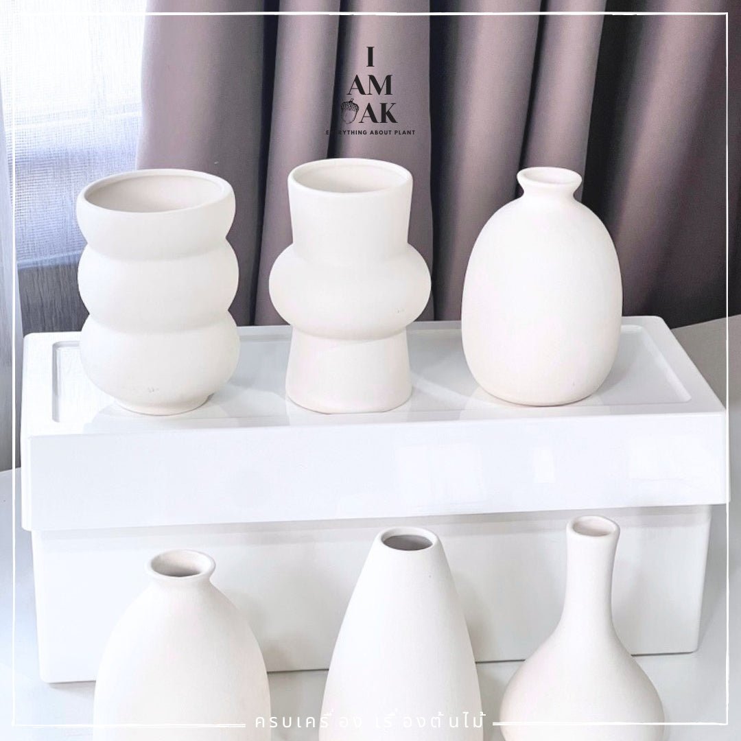 กระถาง แจกัน Minimal Hues Collection (มินิมอล ฮิวส์) - Pamathegardener