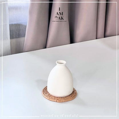 กระถาง แจกัน Minimal Hues Collection (มินิมอล ฮิวส์) - Pamathegardener