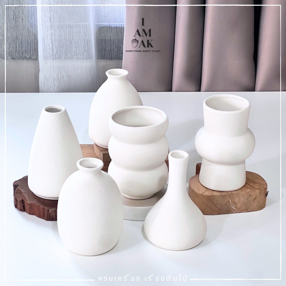 กระถาง แจกัน Minimal Hues Collection (มินิมอล ฮิวส์) - Pamathegardener