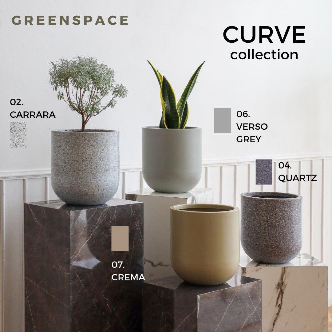 กระถางโพลิเมอร์ Polymer Plant Pot 10 นิ้ว - Pamathegardener