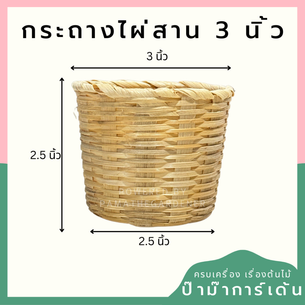 กระถางไม้ไผ่สานขนาด 3 นิ้ว ใส่ครอบกระถางเพาะชำ 3 นิ้วได้พอดี  กระถางไผ่สาน