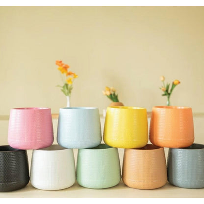 [ssp] เบลล่า 7 นิ้ว